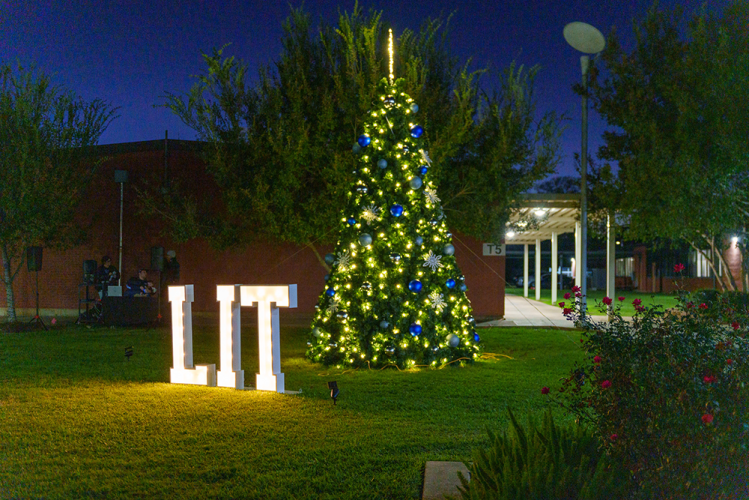 attachment image-LIT Foundation Tree Lighting Scheduled December 2
